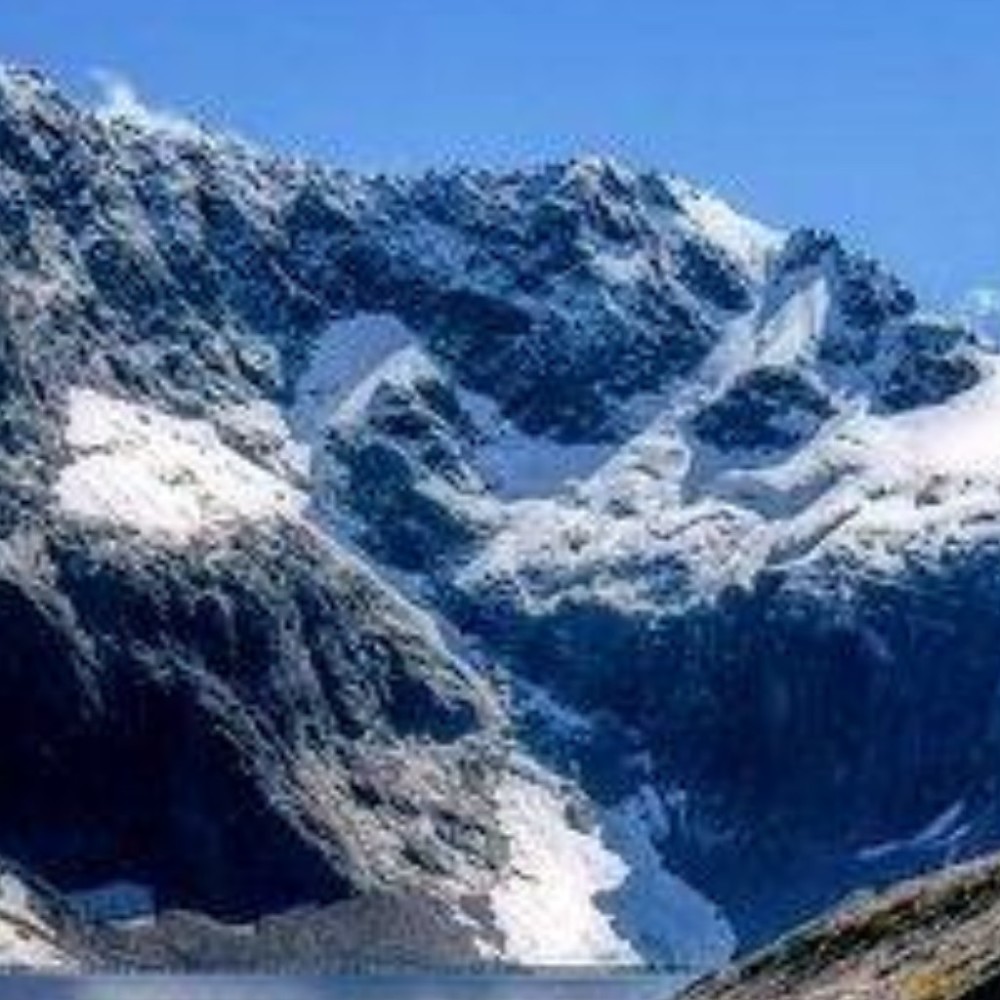 Meet your Posher, Lynne